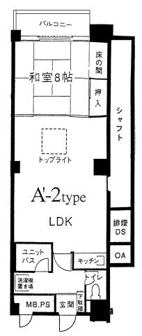画像01l