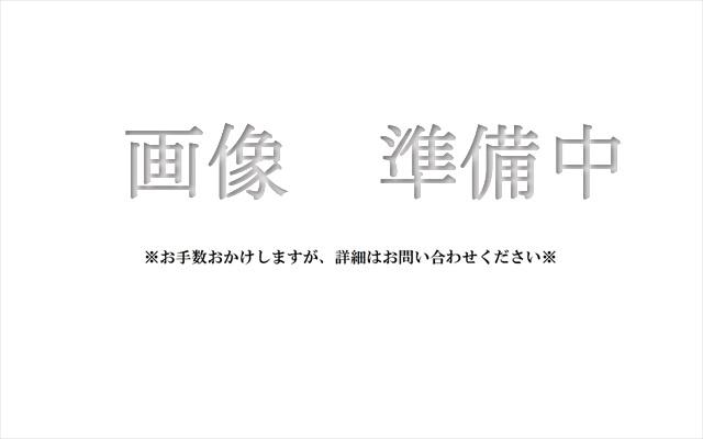 画像01l